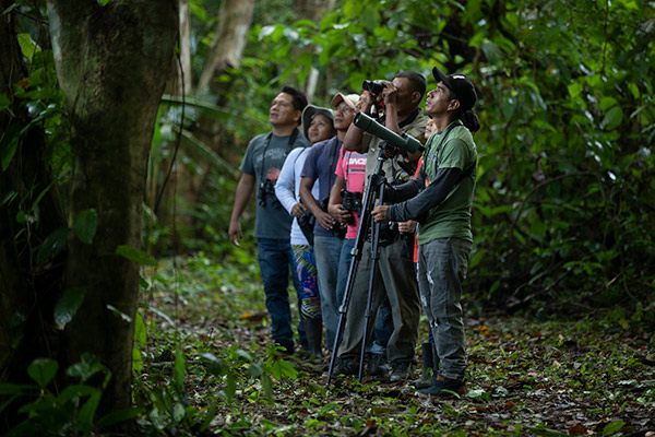 birdwatchers in a forest