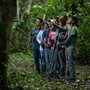 birdwatchers in a forest