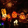 brightly lit Halloween decorations in the dark