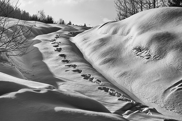 footprints in deep snow