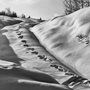 footprints in deep snow