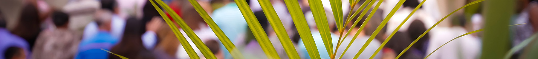 people waving palm branches in a Palm Sunday procession