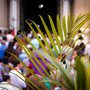 people waving palm branches in a Palm Sunday procession