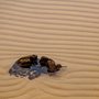 patterns in sand