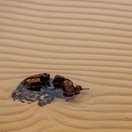 patterns in sand