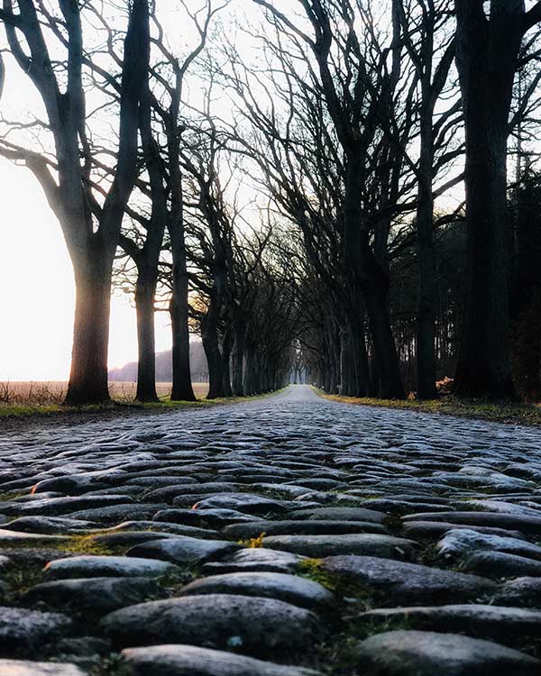 a cobblestone road at dusk