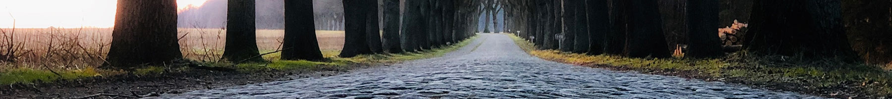 a cobblestone road at dusk