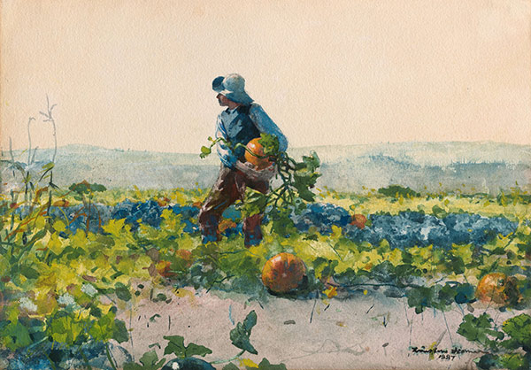a boy holding a pumpkin in a field of pumpkins
