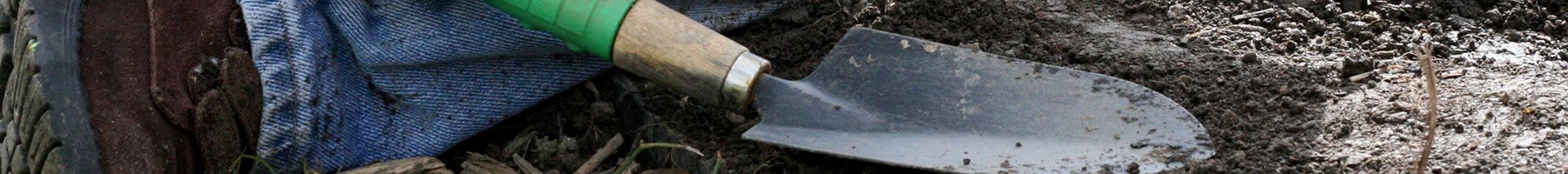 a boy holding a trowel in a garden