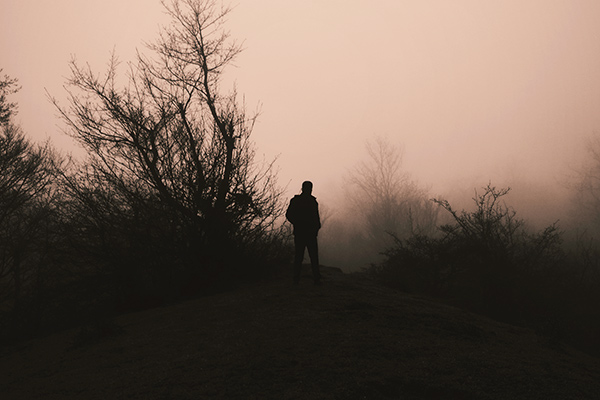 silhouette of a man against fog and windswept trees