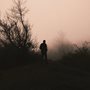 silhouette of a man against fog and windswept trees