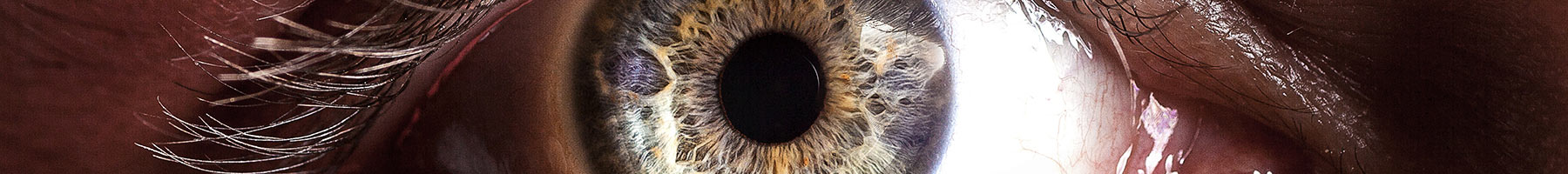 close-up view of a human eye