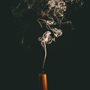 smoke from a blown out candle