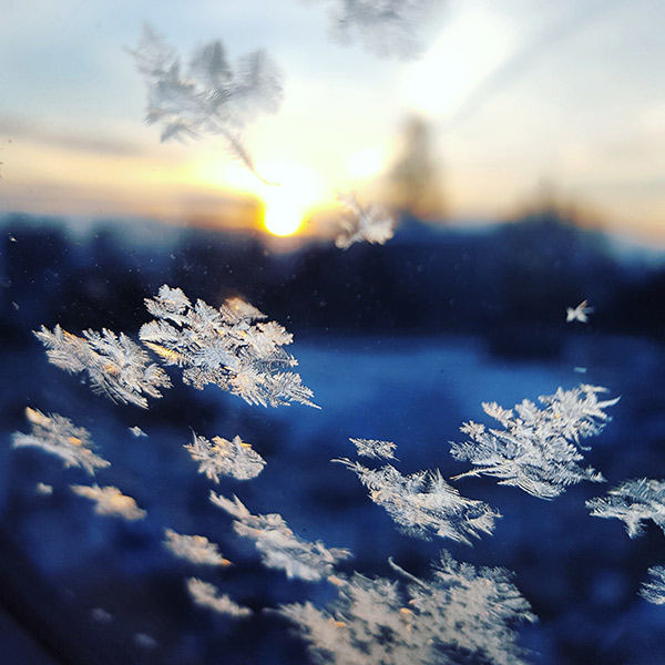 snowflakes on a window