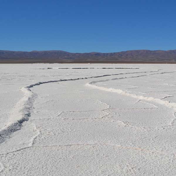 Path through salt field