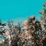 MindMatterListing