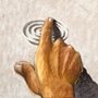 the hand of Jesus drawing in the sand