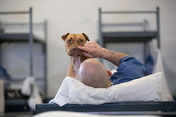 an inmate and a dog