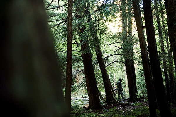 a bow hunter in a forest