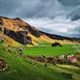 Road through southern Iceland