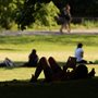 people enjoying a park on a summer day
