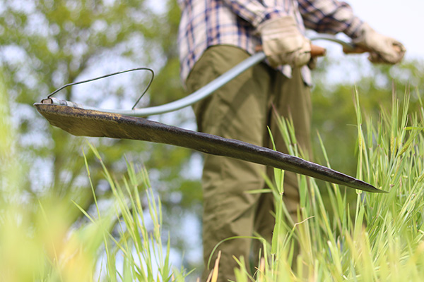 a man scything grass