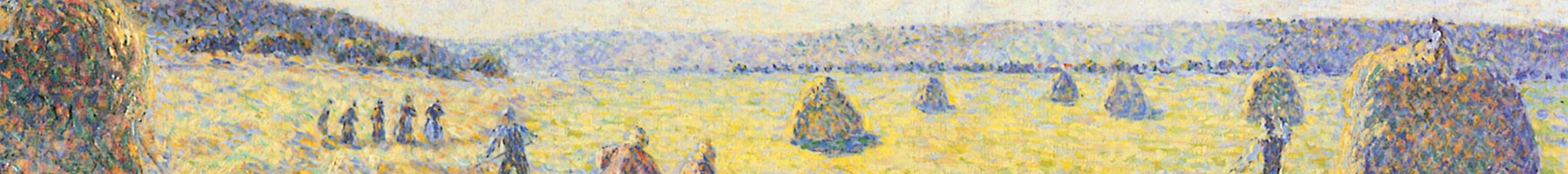 a hayfield at harvest time