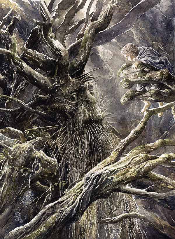 illustration of Treebeard