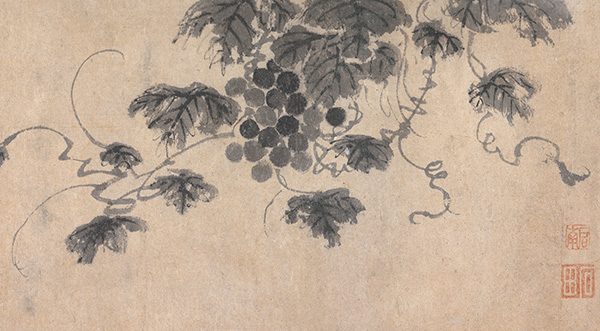 illustration of a grapevine