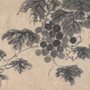 illustration of a grapevine