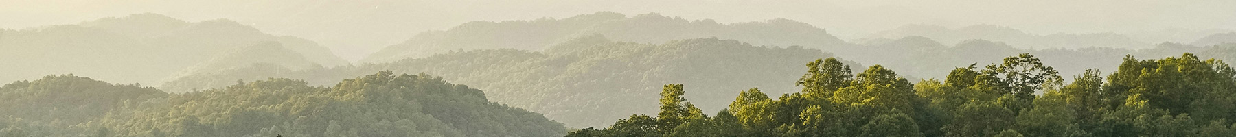 rolling hills of Kentucky