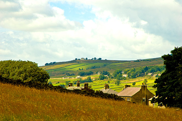 fields and houses in the English countryside