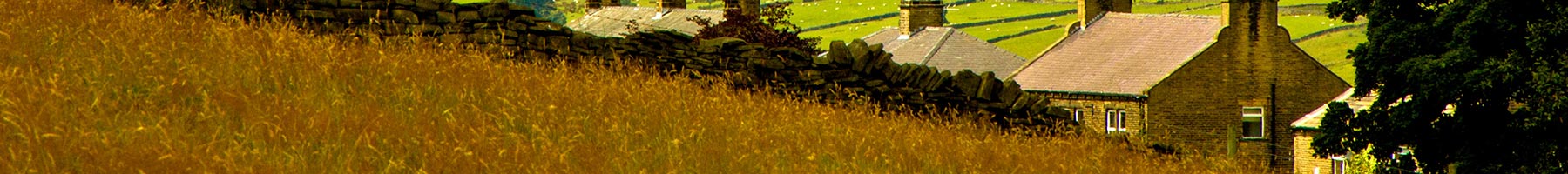 fields and houses in the English countryside