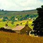 fields and houses in the English countryside