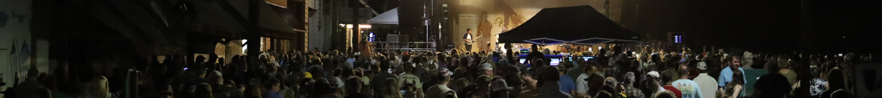 Oliver Anthony concert