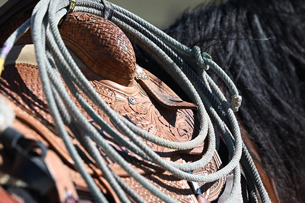 ropes on a horse saddle