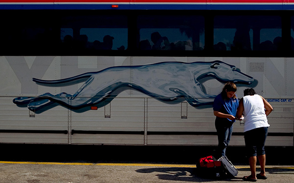 a passenger boarding a Greyhound bus