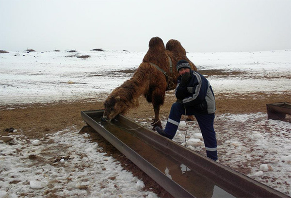 A pump and pipe supply water in Kazakhstan