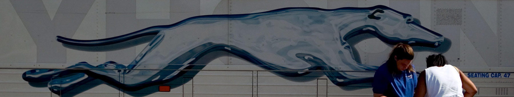 greyhound bus