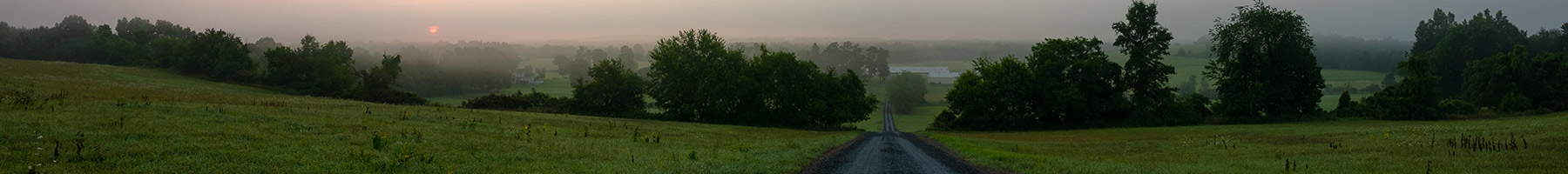 misty dawn on a farm