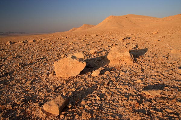 Syrian Desert landscape