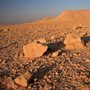 Syrian Desert landscape