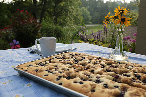 coffee cake on a picnic table