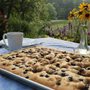 coffee cake on a picnic table