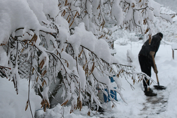 a man shovelling snow