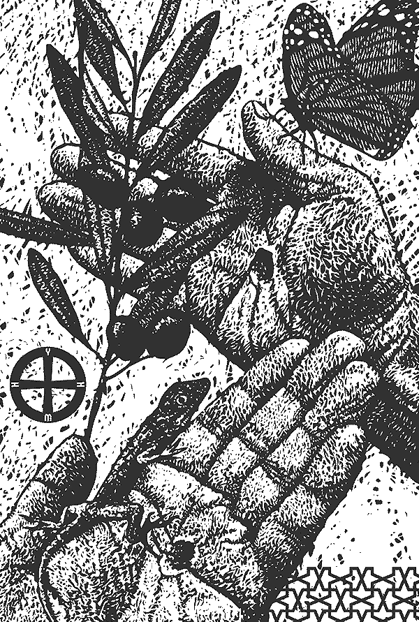 woodcut depicting hands, and olive branch, butterfly and lizard