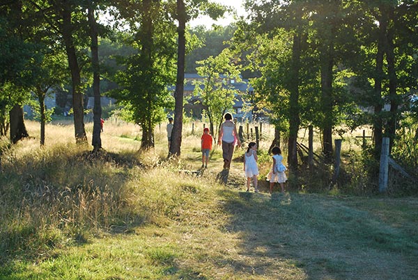 people taking a walk in the woods