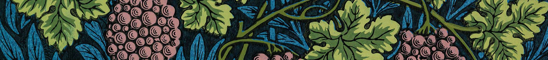 illustration of grapevines