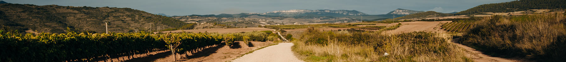 shadow of a pilgrim on a dusty road