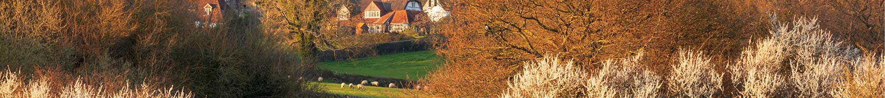 English church in surrounded by farm